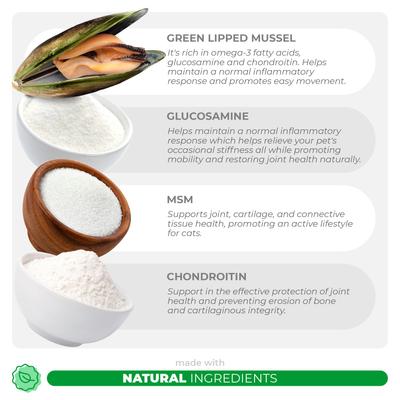 Show full view: Coco and Luna Glucosamine with Green Lipped Mussel Hip & Joint Powder Supplement for Cats, 120-gr jar slide 4 of 8