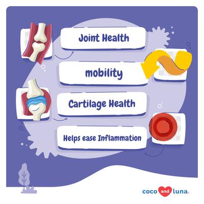Show full view: Coco and Luna Green Lipped Mussel, Glucosamine, MSM & Turmeric Soft Chew Hip & Joint Supplement for Dogs, 90 count slide 3 of 10