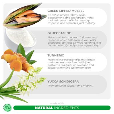 Show full view: Coco and Luna Green Lipped Mussel, Glucosamine, MSM & Turmeric Soft Chew Hip & Joint Supplement for Dogs, 90 count slide 4 of 10