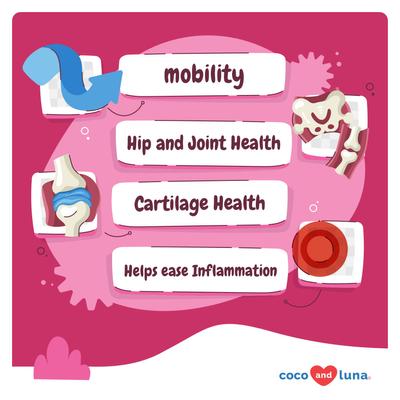 Show full view: Coco and Luna Hip & Joint Max Strength with Hyaluronic Acid Mobility, Hip & Joint, Cartilage Health & Inflammation Soft Chew Supplement for Dogs, 90 count slide 3 of 9