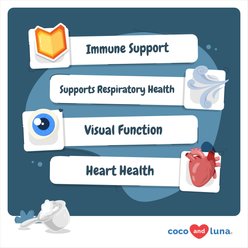 Coco and Luna L-Lysine Immune Support Salmon Flavor Powder Cat Supplement, 4-oz jar slide 2 of 7