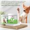 Show in main carousel: Coco and Luna Liver Support Organic Milk Thistle Salmon Flavor Powder Dog & Cat Supplement, 4-oz jar slide 3 of 9