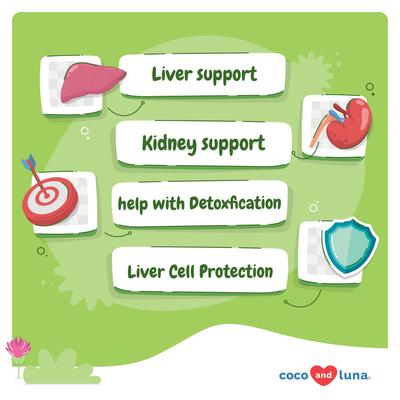 Show full view: Coco and Luna Milk Thistle Hepatic Support Soft Chew Liver & Kidney Supplement for Dogs, 90 count slide 3 of 9