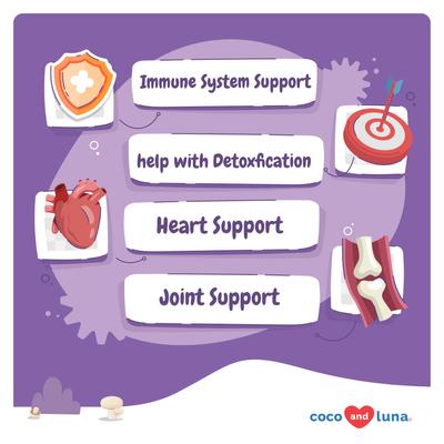 Show full view: Coco and Luna Mushroom Complex Soft Chew Immune Support Supplement for Dogs, 90 count slide 3 of 8