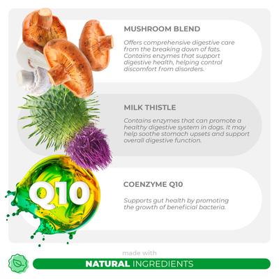 Show full view: Coco and Luna Mushroom Complex Soft Chew Immune Support Supplement for Dogs, 90 count slide 4 of 8