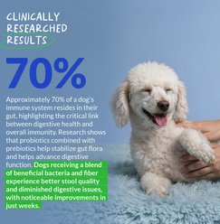 Coco and Luna Probiotics Soft Chew Diarrhea & Gas Support Supplement for Dogs, 90 count slide 2 of 8