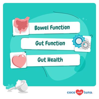 Show full view: Coco and Luna Probiotics with Inulin Stomach & Digestion Powder Probiotic Supplement for Cats, 120-gr jar slide 3 of 8