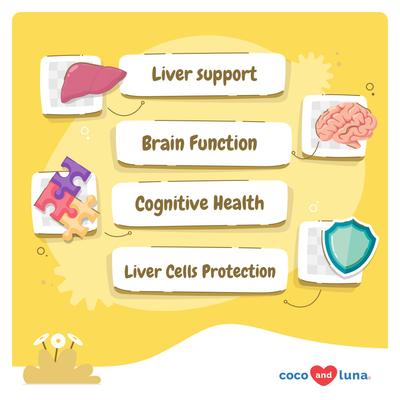 Show full view: Coco and Luna SAMe S-Adenosyl-L-Methionine Soft Chew Liver Supplement for Dogs, 90 count slide 3 of 9