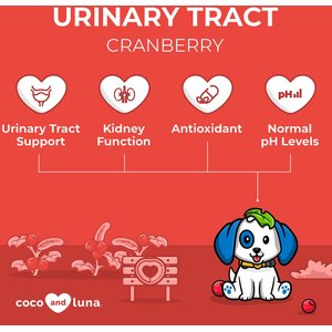 Coco and Luna Urinary Tract Cranberry, Bacon & Liver Flavor Dog Supplement, 120 count
