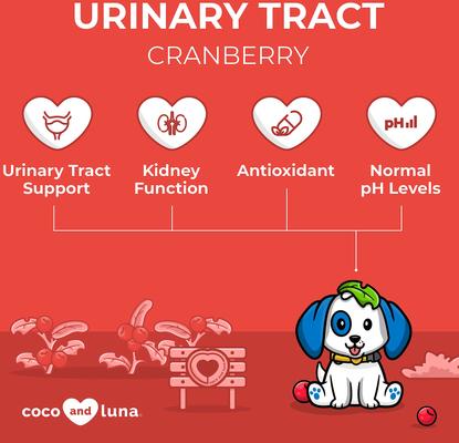 Show full view: Coco and Luna Urinary Tract Cranberry, Bacon & Liver Flavor Dog Supplement, 120 count slide 4 of 11
