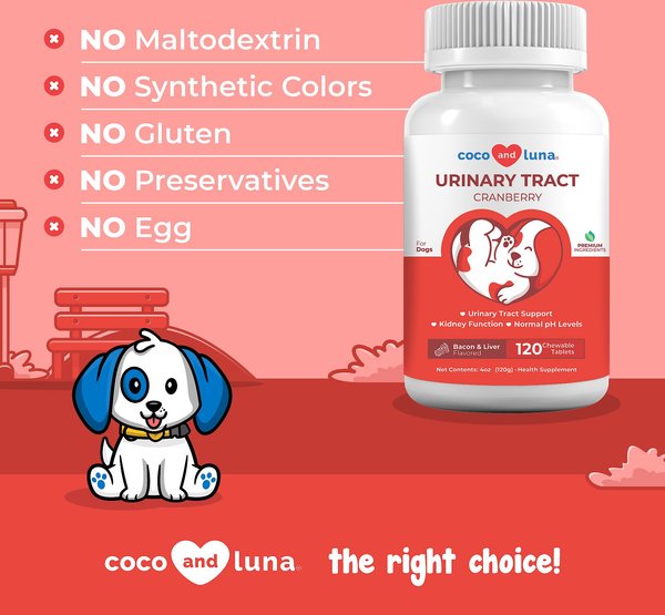 Coco and Luna Urinary Tract Cranberry, Bacon & Liver Flavor Dog Supplement, 120 count
