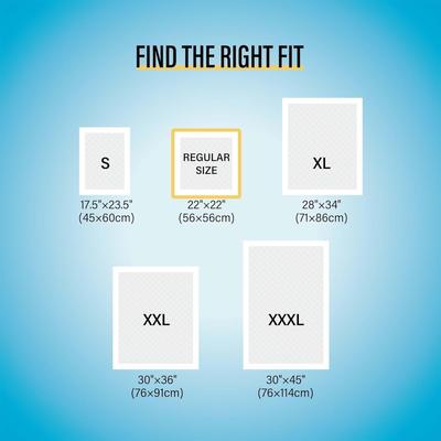 Show full view: COCOYO All-Absorb Basic Training Pads, 22" x 22", 100 count slide 3 of 9