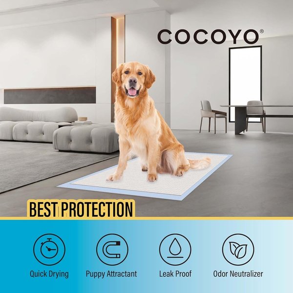Show full view: COCOYO All-Absorb Basic Training Pads, 22" x 22", 100 count slide 4 of 9