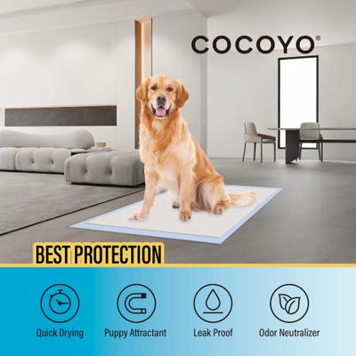 Show full view: COCOYO Best Value Super Absorbent & Leak Proof Unscented Dog Training Pads, 22 x 30-in, 150 count slide 2 of 7