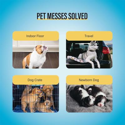 Show full view: COCOYO Best Value Super Absorbent & Leak Proof Unscented Dog Training Pads, 28 x 34-in, 80 count slide 4 of 7