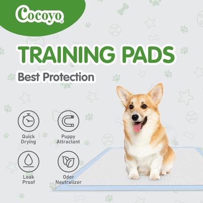 Show full view: COCOYO Best Value Super Absorbent & Leak Proof Unscented Dog Training Pads, 30 x 45-in, 30 count slide 6 of 7