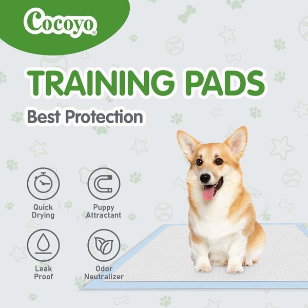 COCOYO Dog Training Pads, 30-in x 36-in, 40 Count