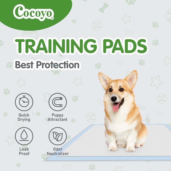 Show full view: COCOYO Earth Friendly Bamboo Unscented Super Absorbent Quick Dry Dog Training Pads, 22 x 22-in, 100 count slide 5 of 6