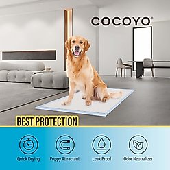 COCOYO X-Large Training Pads, 28" x 34", 40 count slide 2 of 7