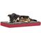 Show in main carousel: Coleman Carry Handle Folding Dog Bed, Medium slide 1 of 3