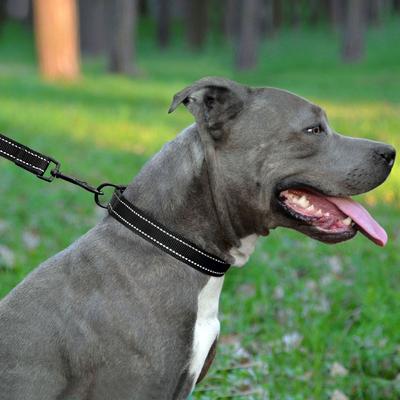 Show full view: CollarDirect Adjustable Reflective Nylon Dog Collar, Black, Large slide 5 of 9