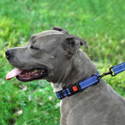 Show full view: CollarDirect Adjustable Reflective Nylon Dog Collar, Blue, Large slide 5 of 9