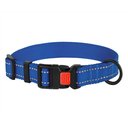 CollarDirect Adjustable Reflective Nylon Dog Collar, Blue, Medium
