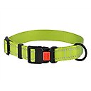 CollarDirect Adjustable Reflective Nylon Dog Collar, Lime Green, Large