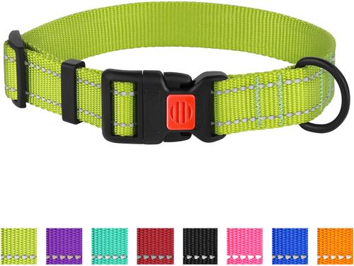 Show full view: CollarDirect Adjustable Reflective Nylon Dog Collar, Lime Green, Large slide 7 of 8