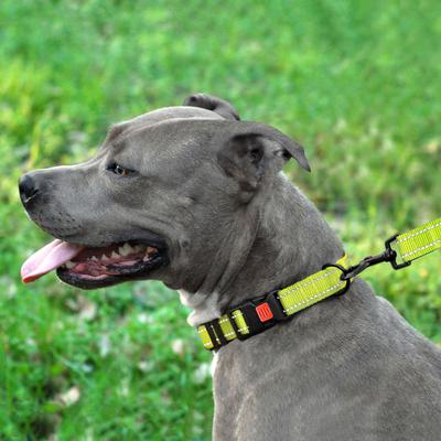 Show full view: CollarDirect Adjustable Reflective Nylon Dog Collar, Lime Green, X-Large slide 4 of 8