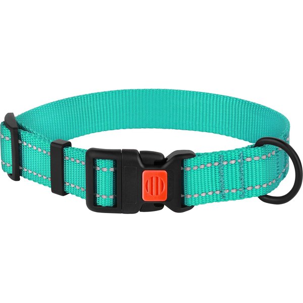 Vila Reflective Nylon Adjustable Dog Collar, Teal, Large: 16 to 24-in neck, 1-in wide
