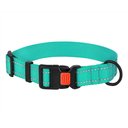 CollarDirect Adjustable Reflective Nylon Dog Collar, Mint Green, Large
