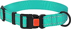 CollarDirect Adjustable Reflective Nylon Dog Collar, Mint Green, Medium slide 1 of 7