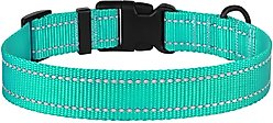 CollarDirect Adjustable Reflective Nylon Dog Collar, Mint Green, Medium slide 2 of 7