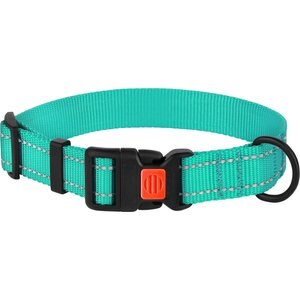 CollarDirect Adjustable Reflective Nylon Dog Collar, Mint Green, X-Large