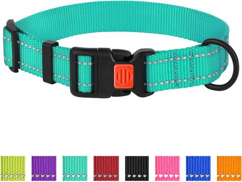 Show full view: CollarDirect Adjustable Reflective Nylon Dog Collar, Mint Green, X-Small slide 6 of 7
