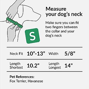 CollarDirect Adjustable Reflective Nylon Dog Collar, Orange, Small