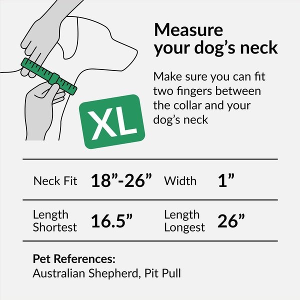 Show full view: CollarDirect Adjustable Reflective Nylon Dog Collar, Orange, X-Large slide 5 of 8