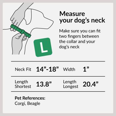 Show full view: CollarDirect Adjustable Reflective Nylon Dog Collar, Pink, Large slide 5 of 8