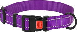 CollarDirect Adjustable Reflective Nylon Dog Collar, Purple, Medium