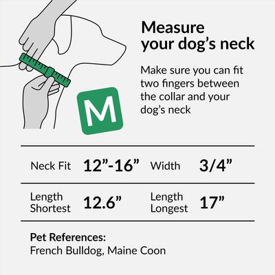 CollarDirect Adjustable Reflective Nylon Dog Collar