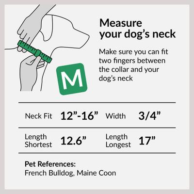 Show full view: CollarDirect Adjustable Reflective Nylon Dog Collar, Purple, Medium slide 6 of 9