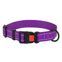 CollarDirect Adjustable Reflective Nylon Dog Collar, Purple, Small