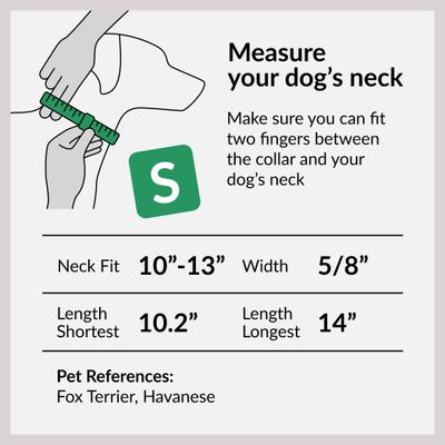 Show full view: CollarDirect Adjustable Reflective Nylon Dog Collar, Purple, Small slide 5 of 8