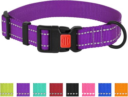 Show full view: CollarDirect Adjustable Reflective Nylon Dog Collar, Purple, X-Small slide 6 of 7