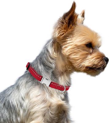 Show full view: CollarDirect Adjustable Reflective Nylon Dog Collar, Red, X-Small slide 5 of 9