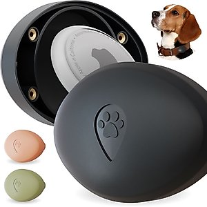 CollarDirect Airtag Holder for Dog Collar, 2 count, Black