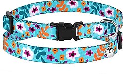 CollarDirect Floral Design Pattern Nylon Cat Collar, Mint Green