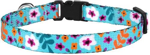 Show full view: CollarDirect Floral Design Pattern Nylon Cat Collar, Mint Green slide 2 of 3
