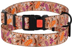 CollarDirect Floral Design Pattern Nylon Dog Collar, Beige, X-Large